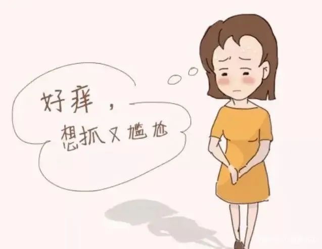 哪些女性更容易得外阴白斑