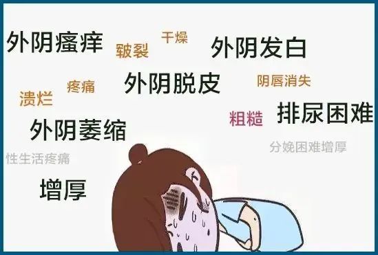 患上外阴白斑是什么颜色
