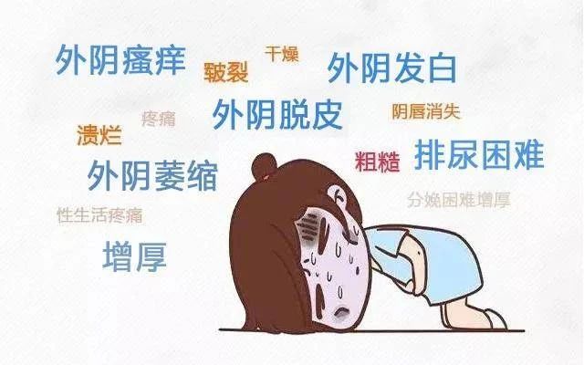 外阴瘙痒和外阴白斑的区别? 外阴瘙痒和外阴白斑的区别?