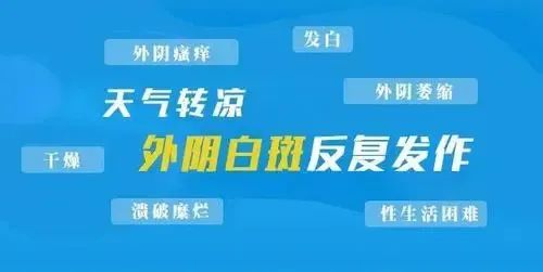 微信图片_20231116143957