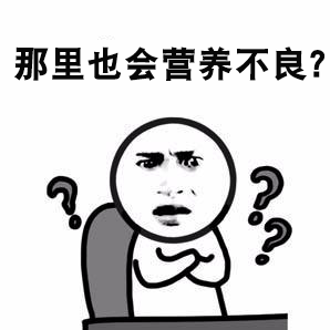 如何有效的避免外阴营养不良? 如何有效的避免外阴营养不良?