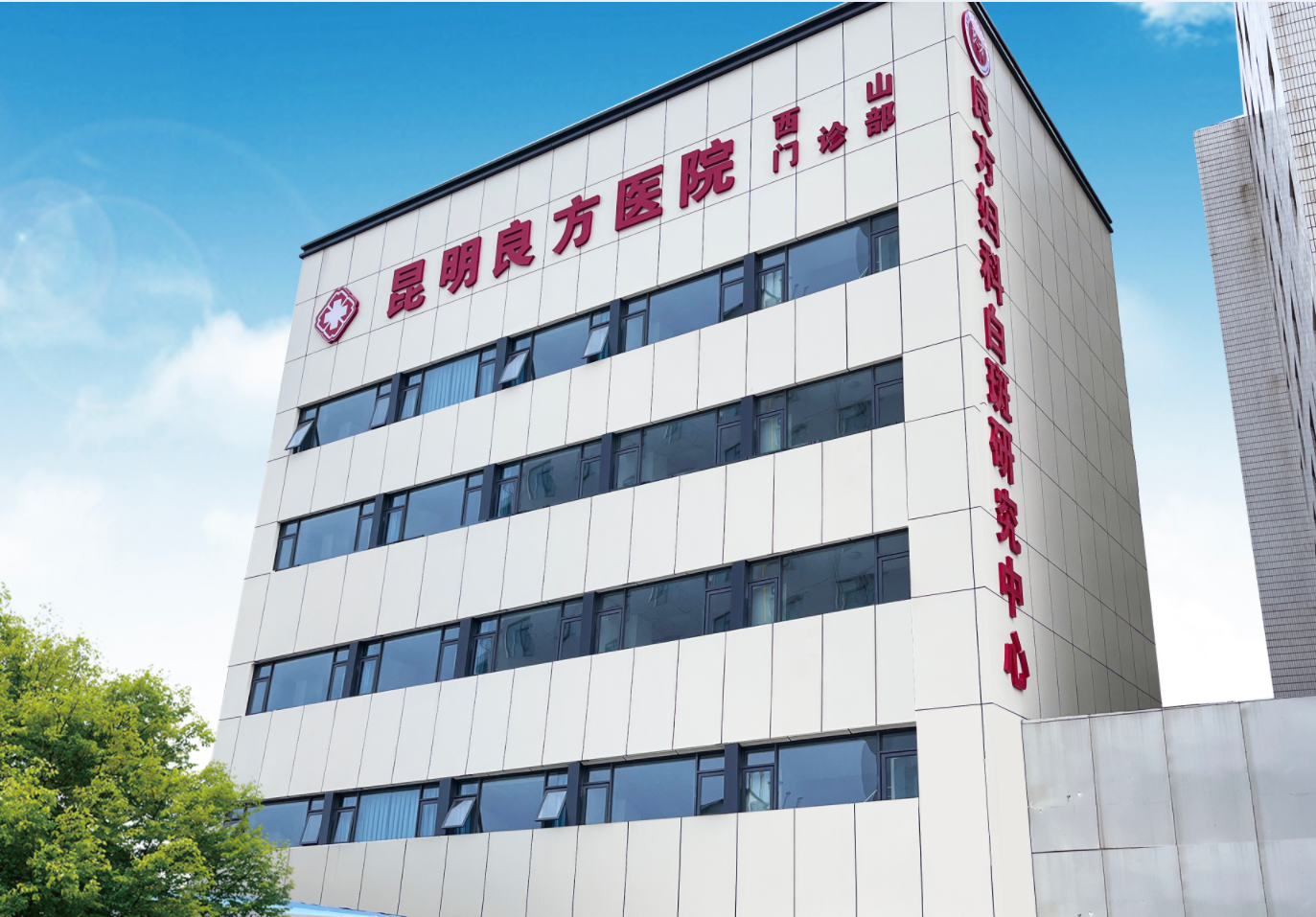 外阴白斑是怎么治疗的