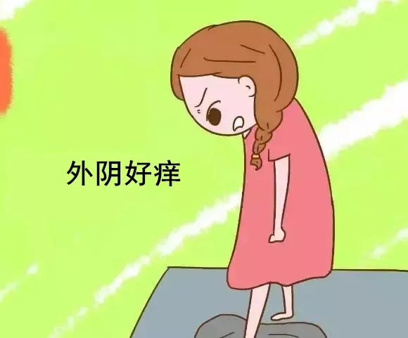 外阴发白到底是外阴白斑还是外阴白癜风? 外阴发白到底是外阴白斑还是外阴白癜风?