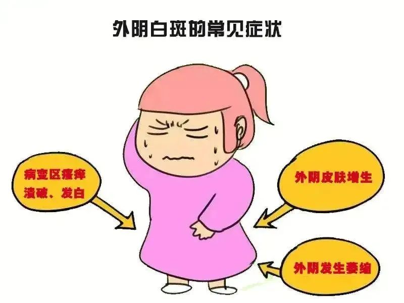 什么是外阴营养不良？