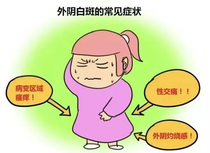 怎么判断自己是否得了外阴白斑? 怎么判断自己是否得了外阴白斑?
